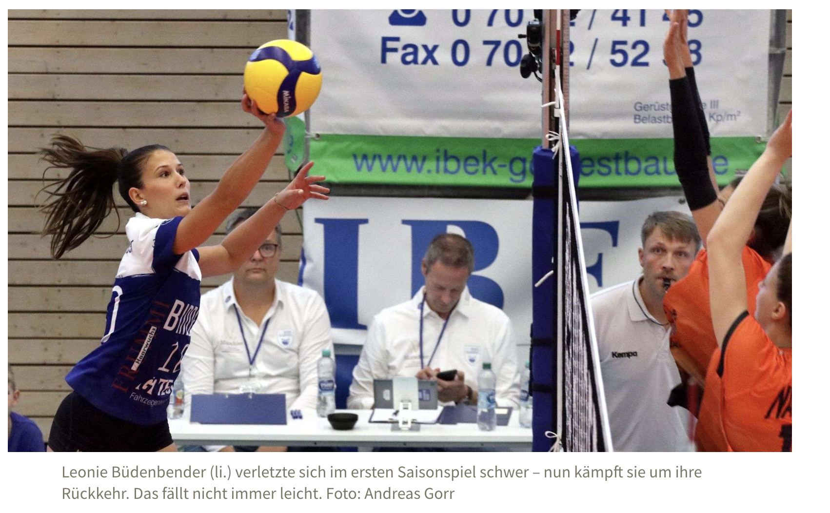Volleyball Zweite Liga Pro: Blaubären Flacht reisen zu Karnevalsbeginn nach Köln