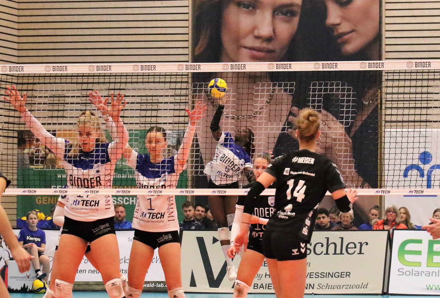Binder Blaubären TSV Flacht vs. Allbau Volleys Essen