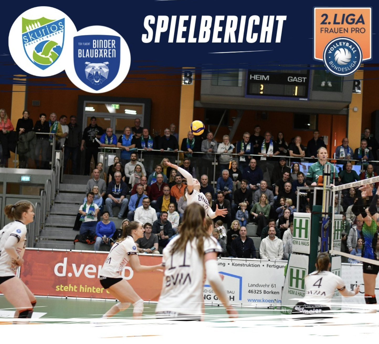 Zum zweiten Mal in Folge spielen die Binder Blaubären TSV Flacht ein Topspiel der 2. Bundesliga Pro.