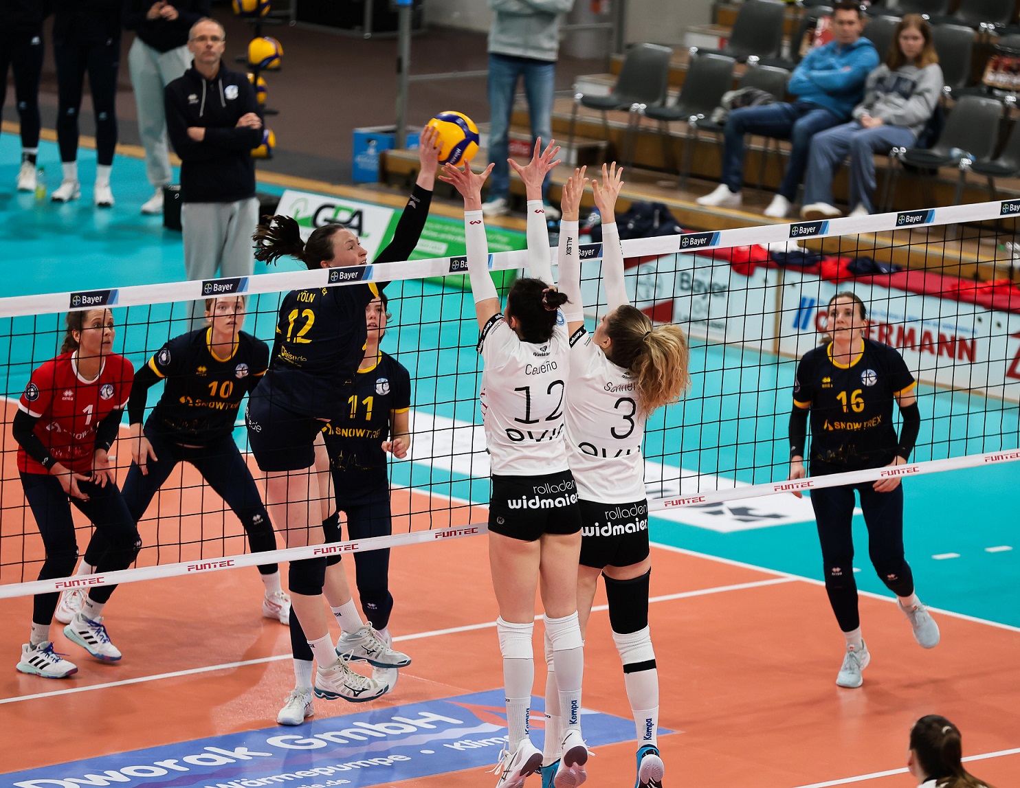 Die Binder Blaubären Flacht spielten ein hochklassiges Topspiel in der Ostermann-Arena, agierte mit SnowTrex Köln auf Augenhöhe.