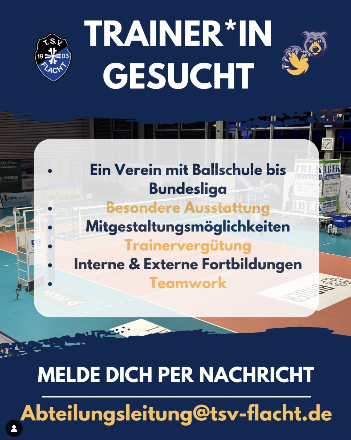 Trainer*in gesucht! Werde Teil der Blaubären-Familie!