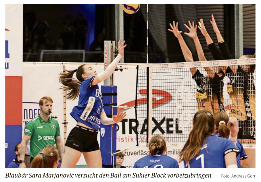 Die Blaubären und DJ Robin haben noch Luft nach oben