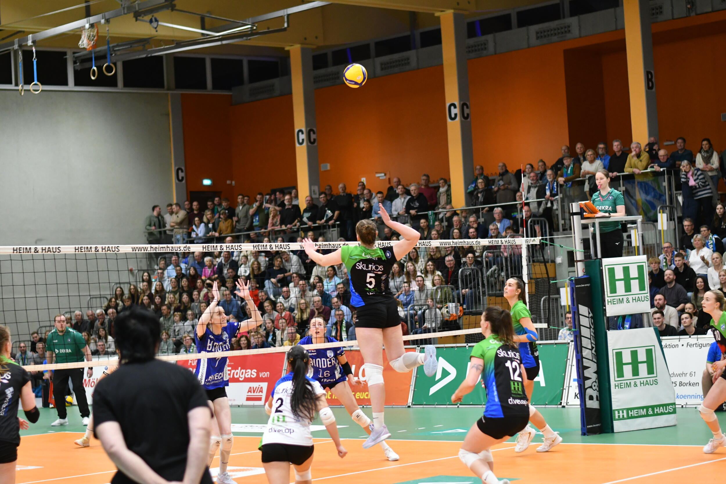 Binder Blaubären TSV Flacht: Flacht schenkt Borken den ersten Sieg