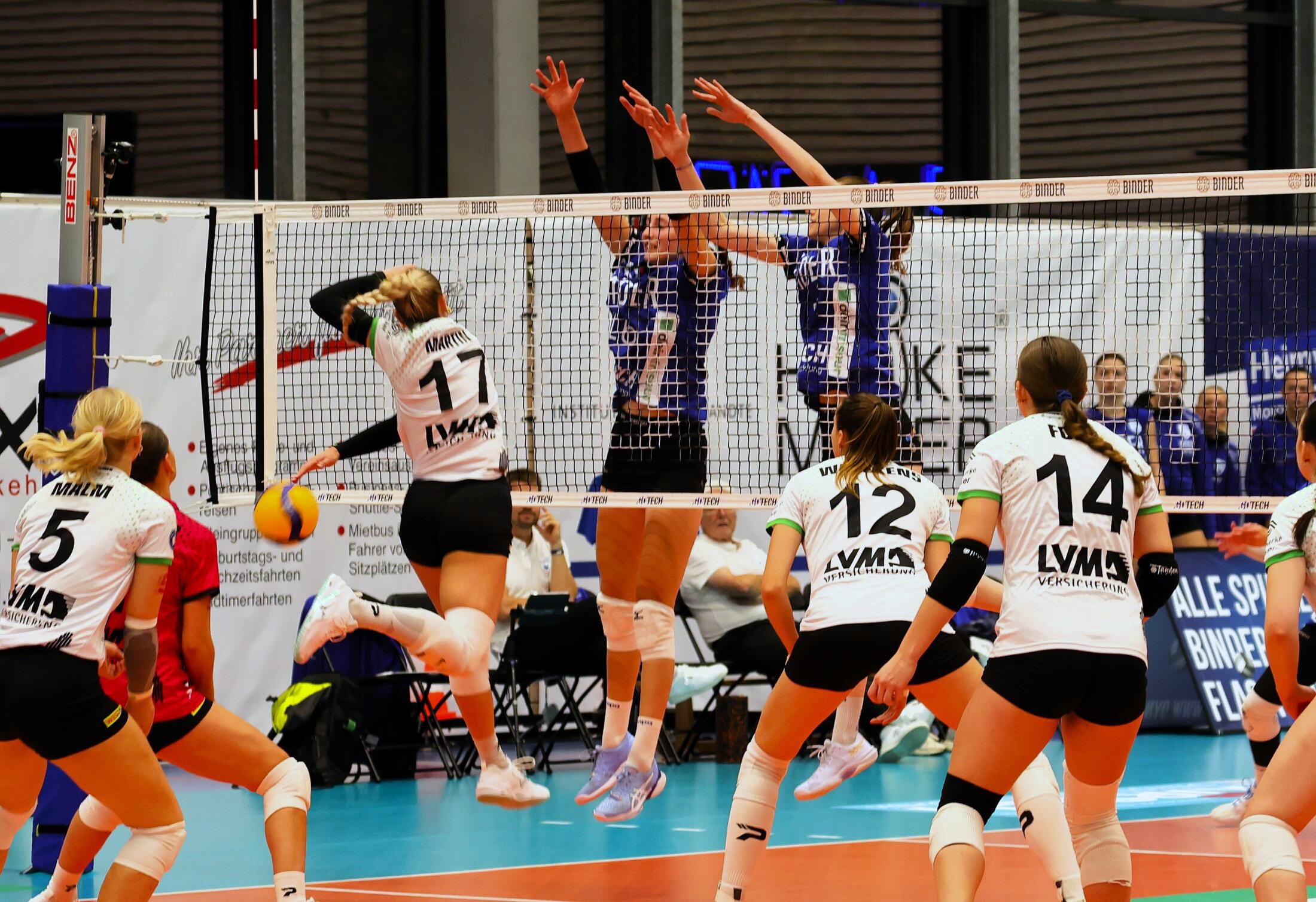 1. Volleyball Bundesliga: Auswärts gefordert: Binder Blaubären treten in Münster an
