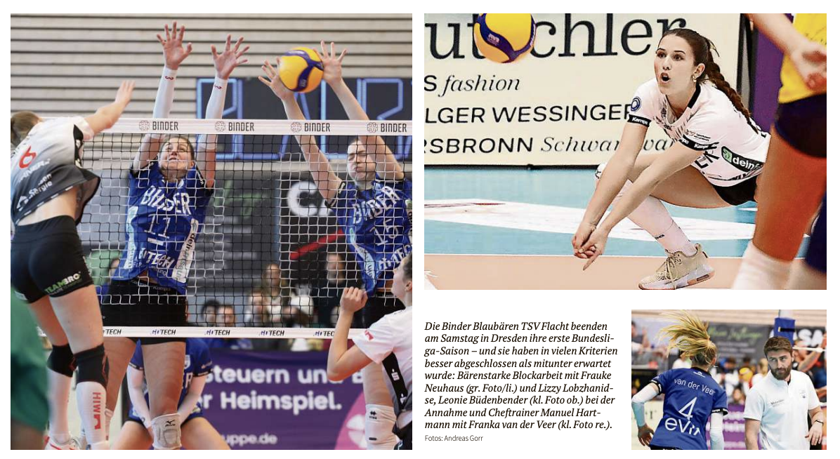 Bärenstarke Blaubären beim Blocken