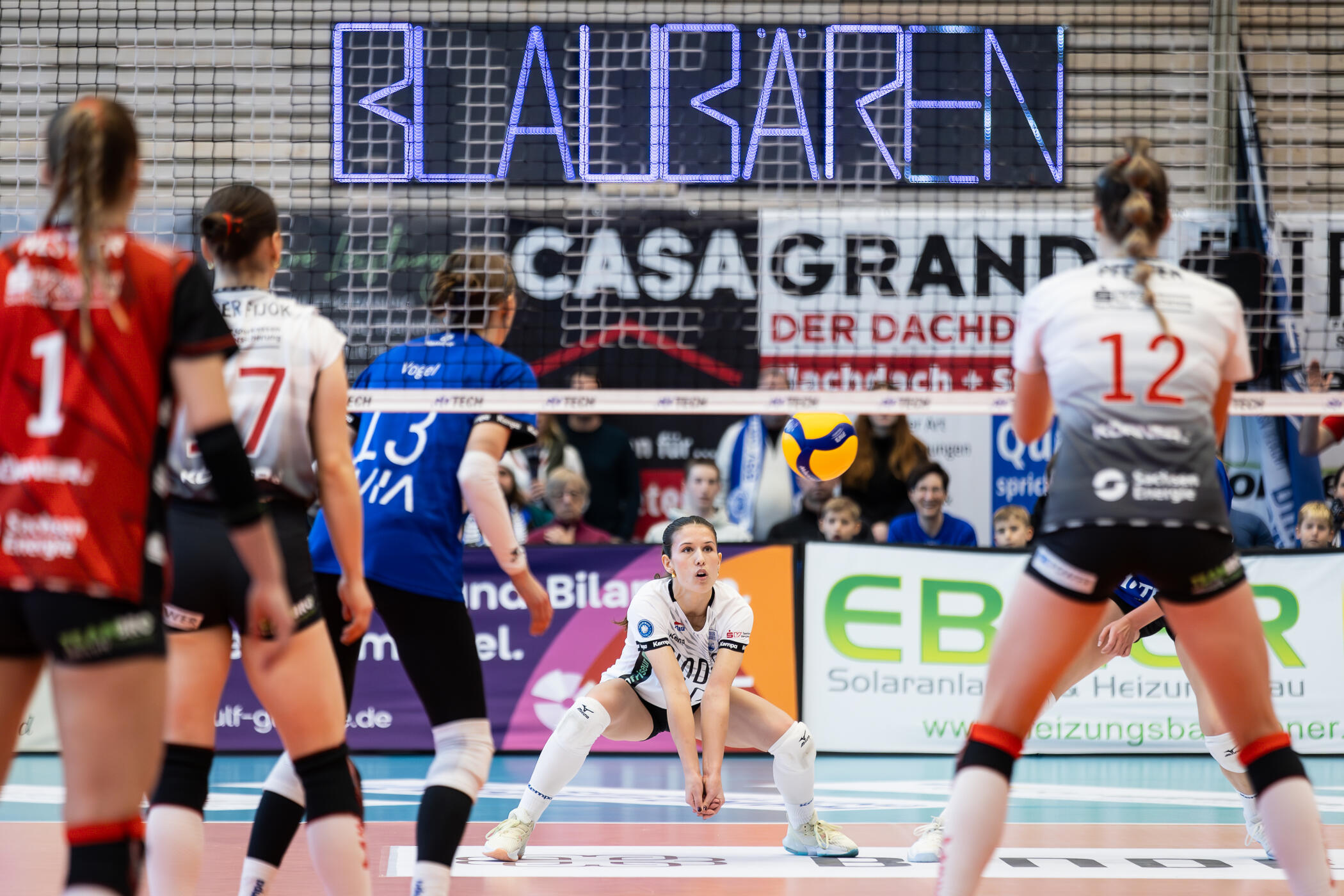 Vorbericht 1. Bundesliga: Blaubären beenden erste Bundesliga-Saison beim Dresdner SC